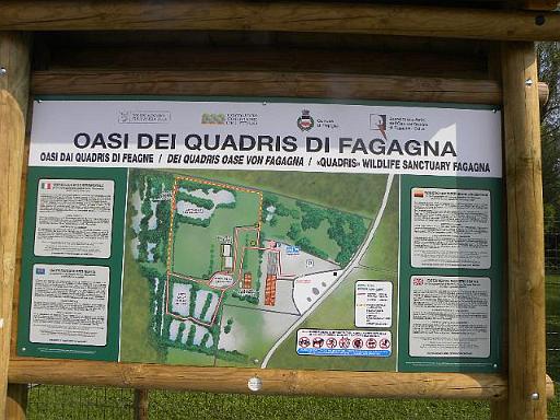 4 DSCN7951.JPG